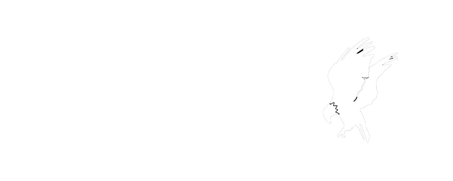 American Leader