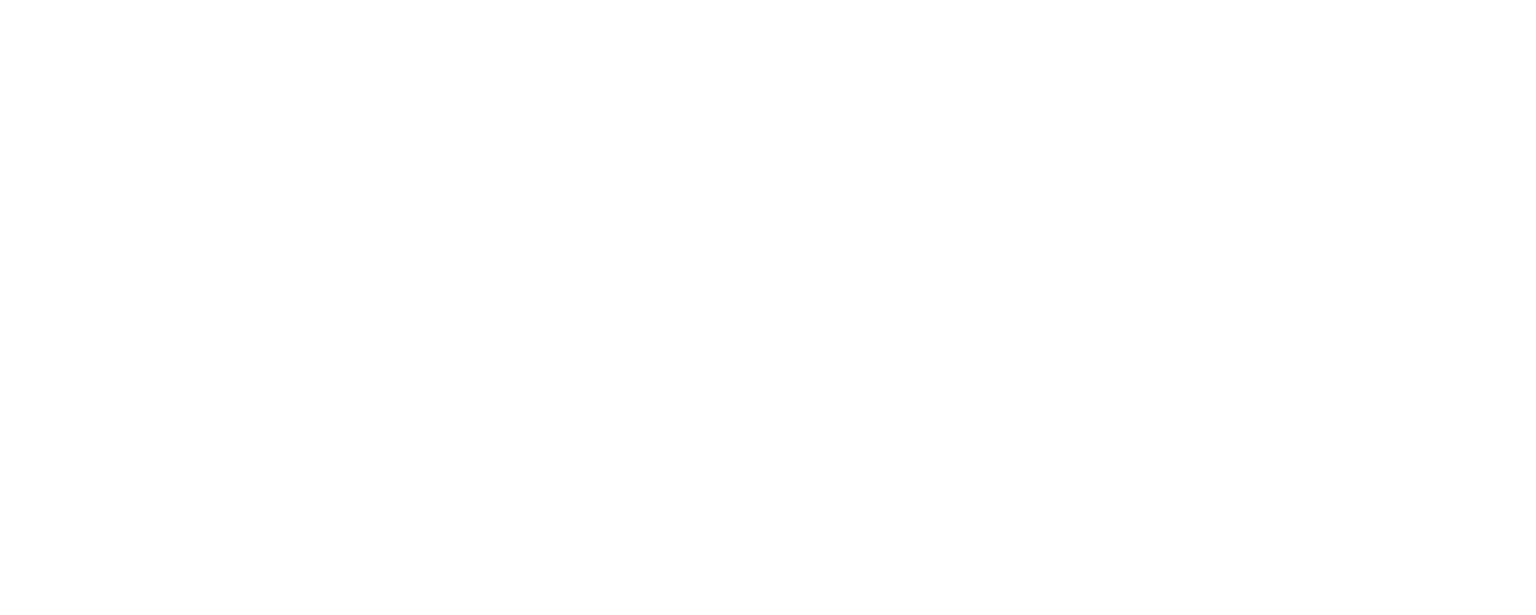 Sommier Center